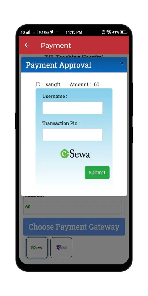 payment-gateway