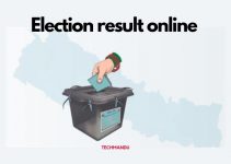 How to Check Local Level Election Results?
