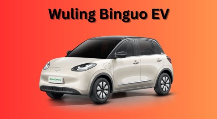 Wuling Binguo EV Price in Nepal