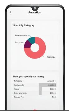 Hamro Pay app spending types