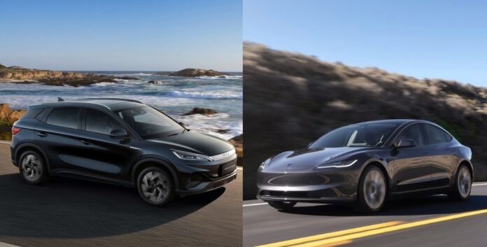 BYD vs Tesla